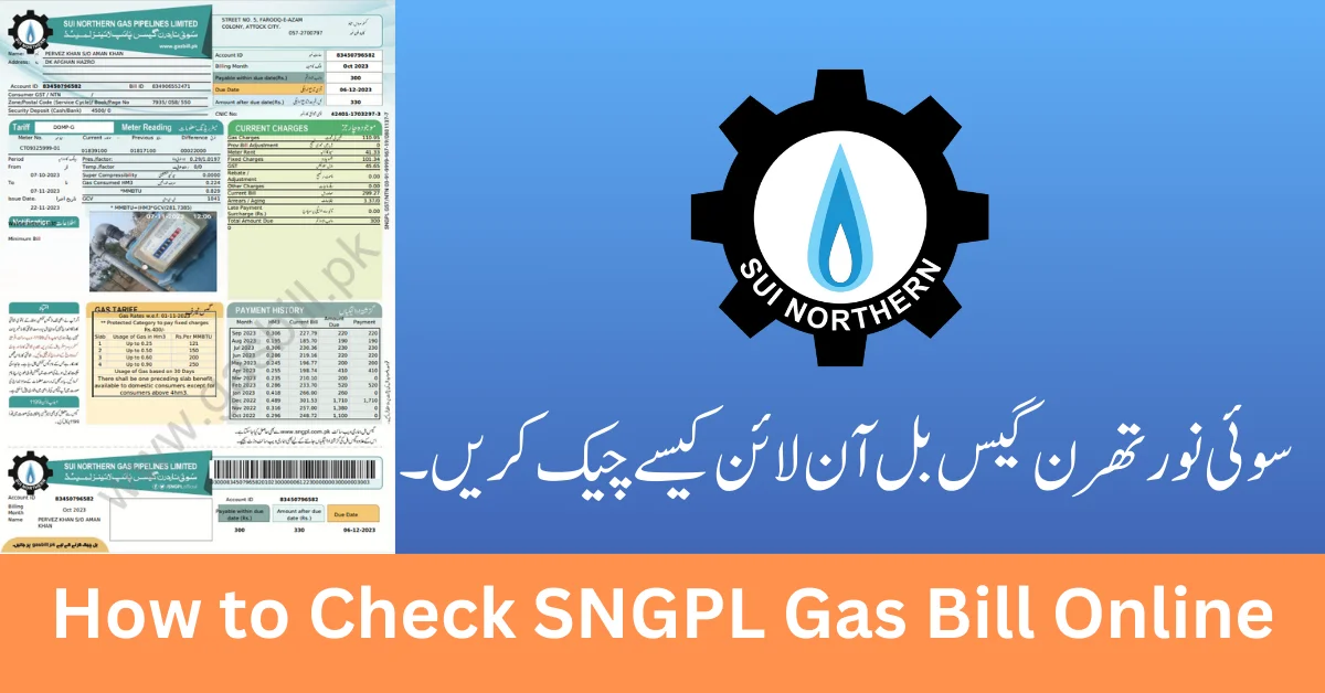 How to Check SNGPL Gas Bill Online